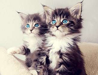 钣金加工如何让不锈钢机箱表面材质更好?